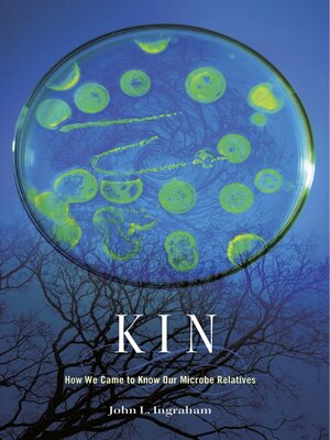 cover image of Kin